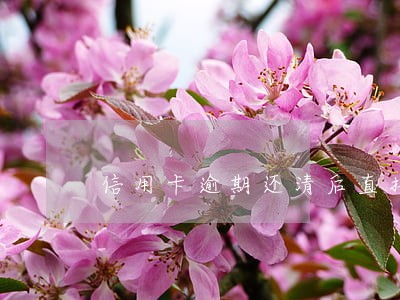 信用卡逾期还清后直接销户吗 信用卡逾期还清后直接销户吗