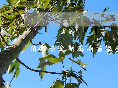 信用卡逾期还清后能全款买车嘛 信用卡逾期还清后能全款买车嘛
