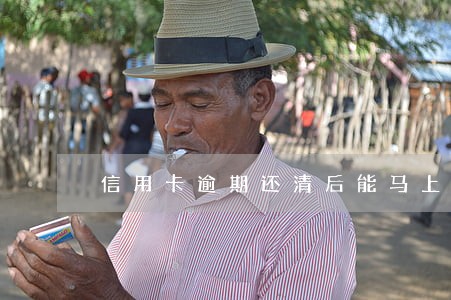 信用卡逾期还清后能马上注销吗 信用卡逾期还清后能马上注销吗