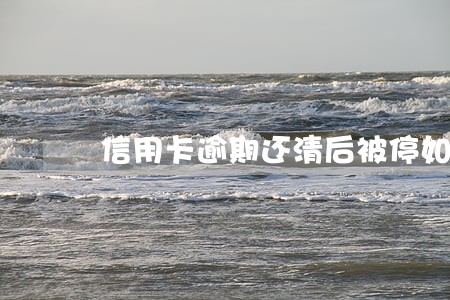 信用卡逾期还清后被停如何激活 信用卡逾期还清后被停如何激活