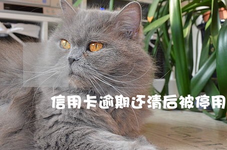 信用卡逾期还清后被停用 信用卡逾期还清后被停用