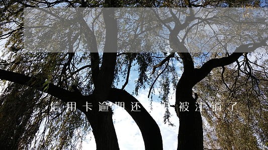 信用卡逾期还清后被注销了