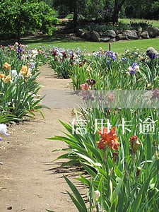 信用卡逾期还清后还可以贷款