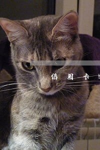 信用卡逾期还清后还有记录 信用卡逾期还清后还有记录