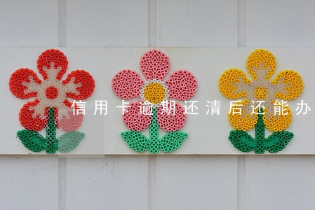 信用卡逾期还清后还能办卡吗 信用卡逾期还清后还能办卡吗