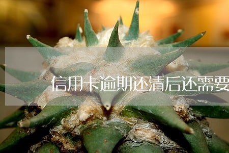 信用卡逾期还清后还需要销卡吗 信用卡逾期还清后还需要销卡吗