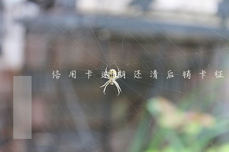 信用卡逾期还清后销卡征信显示