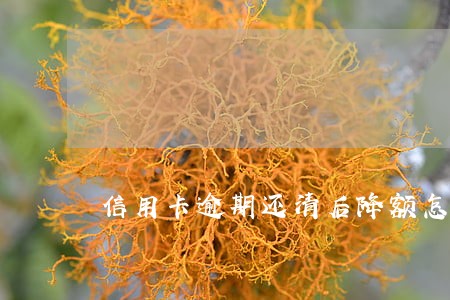 信用卡逾期还清后降额怎么恢复