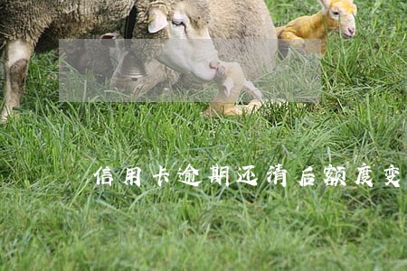 信用卡逾期还清后额度变成10 信用卡逾期还清后额度变成10