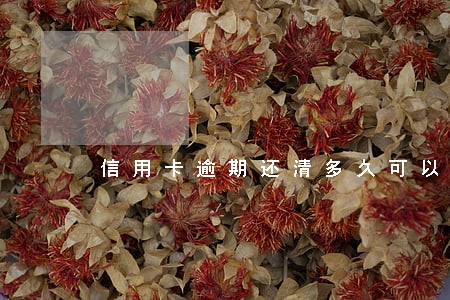 信用卡逾期还清多久可以注销