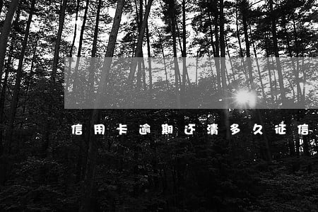信用卡逾期还清多久征信更新 信用卡逾期还清多久征信更新