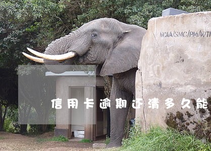 信用卡逾期还清多久能解冻卡