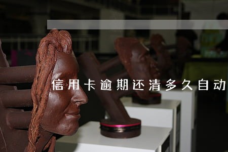 信用卡逾期还清多久自动注销 信用卡逾期还清多久自动注销