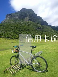 信用卡逾期还清多久还能再办 信用卡逾期还清多久还能再办