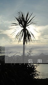 信用卡逾期还清影响贷款吗 信用卡逾期还清影响贷款吗