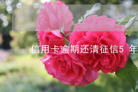 信用卡逾期还清征信5年 信用卡逾期还清征信5年