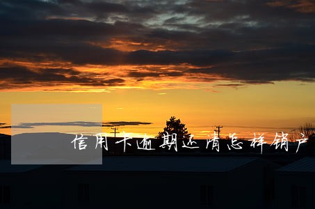 信用卡逾期还清怎样销户比较好 信用卡逾期还清怎样销户比较好