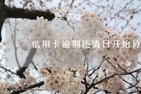 信用卡逾期还清日开始算五年吗