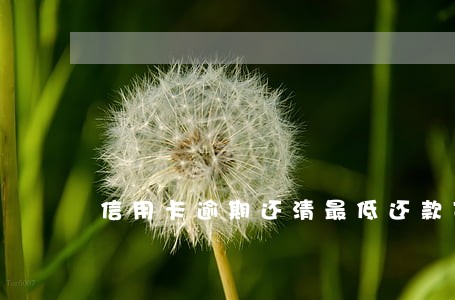 信用卡逾期还清最低还款可以吗 信用卡逾期还清最低还款可以吗