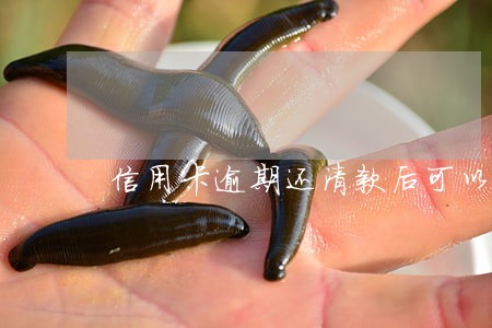 信用卡逾期还清款后可以注销吗