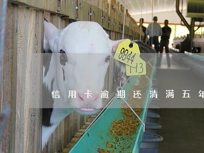 信用卡逾期还清满五年 信用卡逾期还清满五年