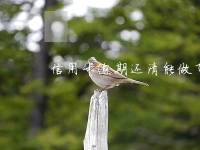 信用卡逾期还清能做飞机吗 信用卡逾期还清能做飞机吗