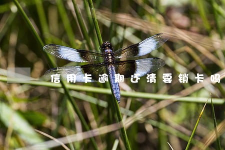 信用卡逾期还清要销卡吗 信用卡逾期还清要销卡吗