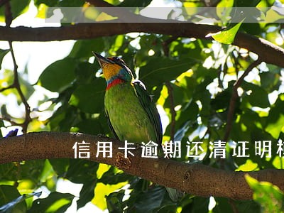 信用卡逾期还清证明模板 信用卡逾期还清证明模板