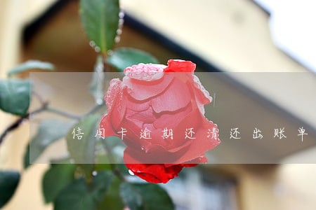 信用卡逾期还清还出账单