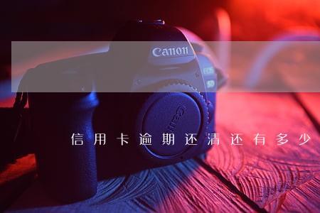 信用卡逾期还清还有多少钱 信用卡逾期还清还有多少钱