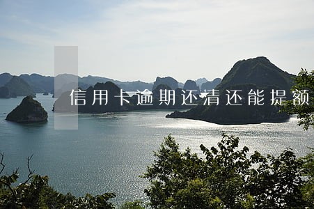 信用卡逾期还清还能提额吗 信用卡逾期还清还能提额吗