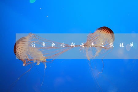 信用卡逾期还清还能继续激活吗 信用卡逾期还清还能继续激活吗