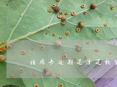 信用卡逾期还清还能贷款吗 信用卡逾期还清还能贷款吗