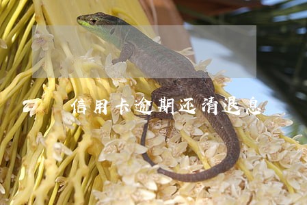 信用卡逾期还清退息 信用卡逾期还清退息