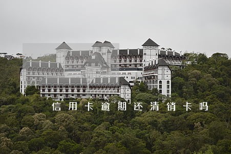 信用卡逾期还清销卡吗 信用卡逾期还清销卡吗