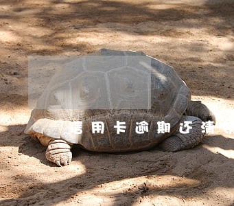 信用卡逾期还清销户征信 信用卡逾期还清销户征信