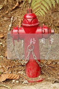 信用卡逾期还清需要发身份证 信用卡逾期还清需要发身份证