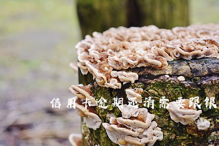 信用卡逾期还清需要跟银行沟通吗
