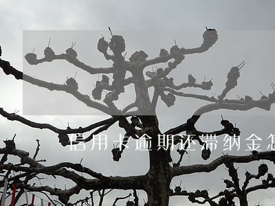 信用卡逾期还滞纳金怎么收 信用卡逾期还滞纳金怎么收