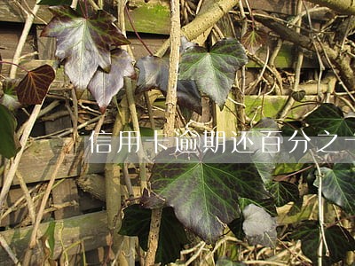 信用卡逾期还百分之十利息 信用卡逾期还百分之十利息