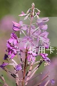 信用卡逾期还的不多