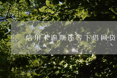 信用卡逾期还等下借网贷吗 信用卡逾期还等下借网贷吗