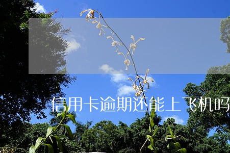 信用卡逾期还能上飞机吗 信用卡逾期还能上飞机吗