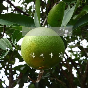 信用卡逾期还能不能上班 信用卡逾期还能不能上班