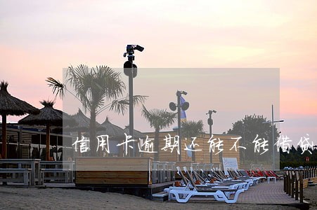 信用卡逾期还能不能借贷款 信用卡逾期还能不能借贷款