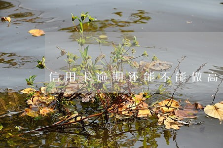 信用卡逾期还能不能做高铁 信用卡逾期还能不能做高铁