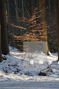 信用卡逾期还能不能办贷款 信用卡逾期还能不能办贷款