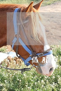 信用卡逾期还能不能去打工 信用卡逾期还能不能去打工