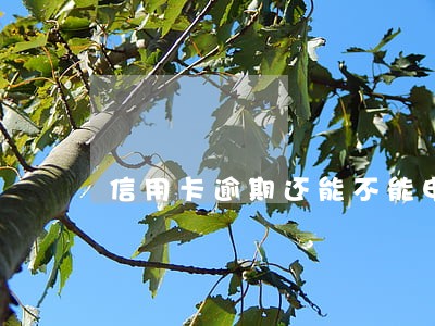 信用卡逾期还能不能申请网贷