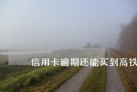信用卡逾期还能买到高铁票